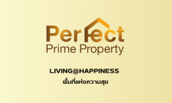 Perfect Prime Property